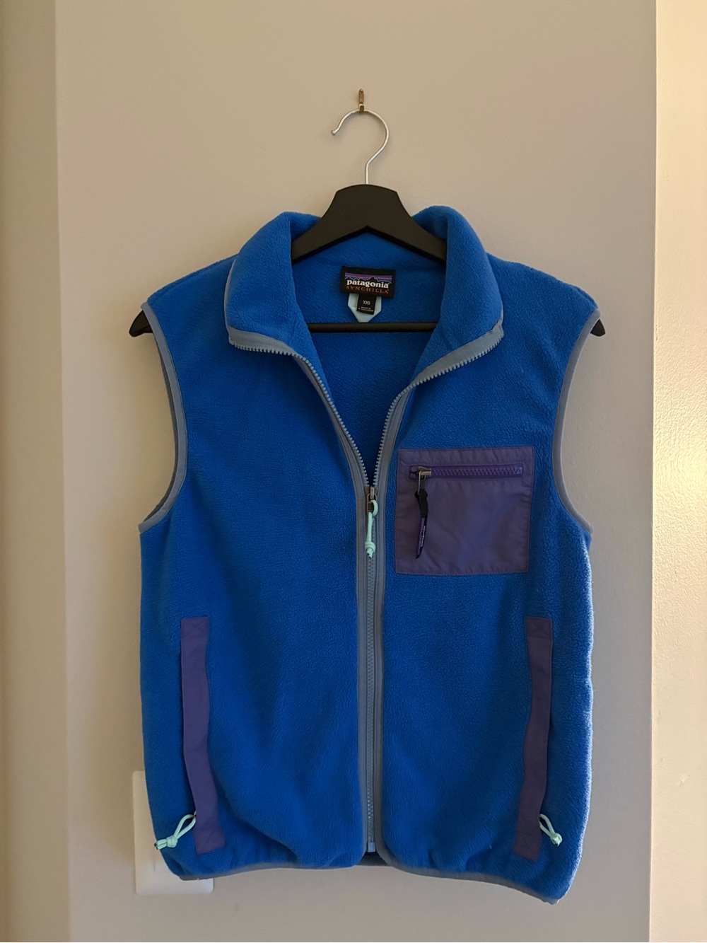Patagonia Men’s Blue Fleece Vest with Purple Pocket Accents